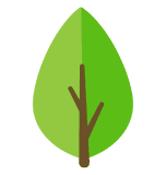 SPFWeb - Software para controle de inventário florestal e manejo florestal